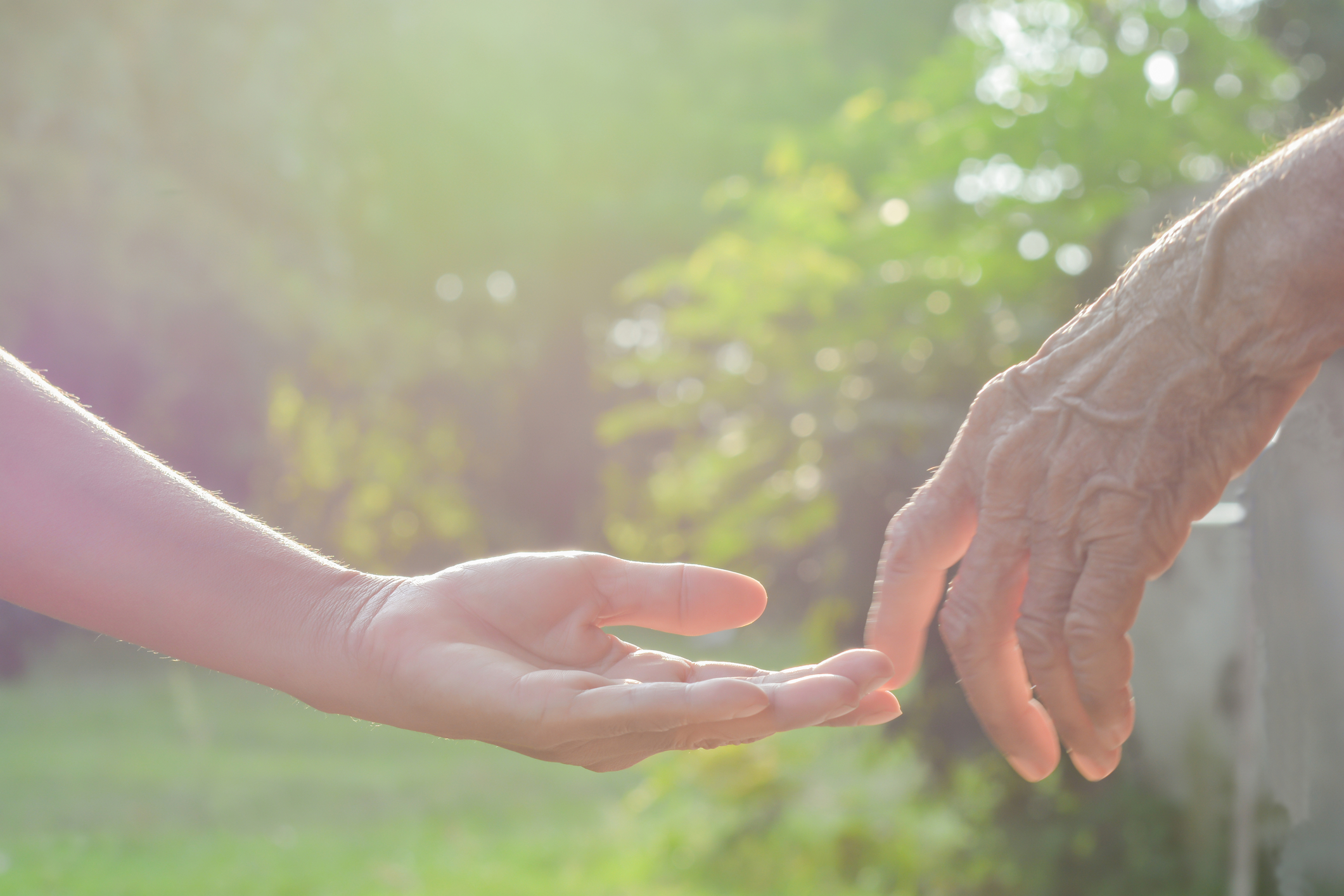 Holding Hands Green Background Kith Elder Care